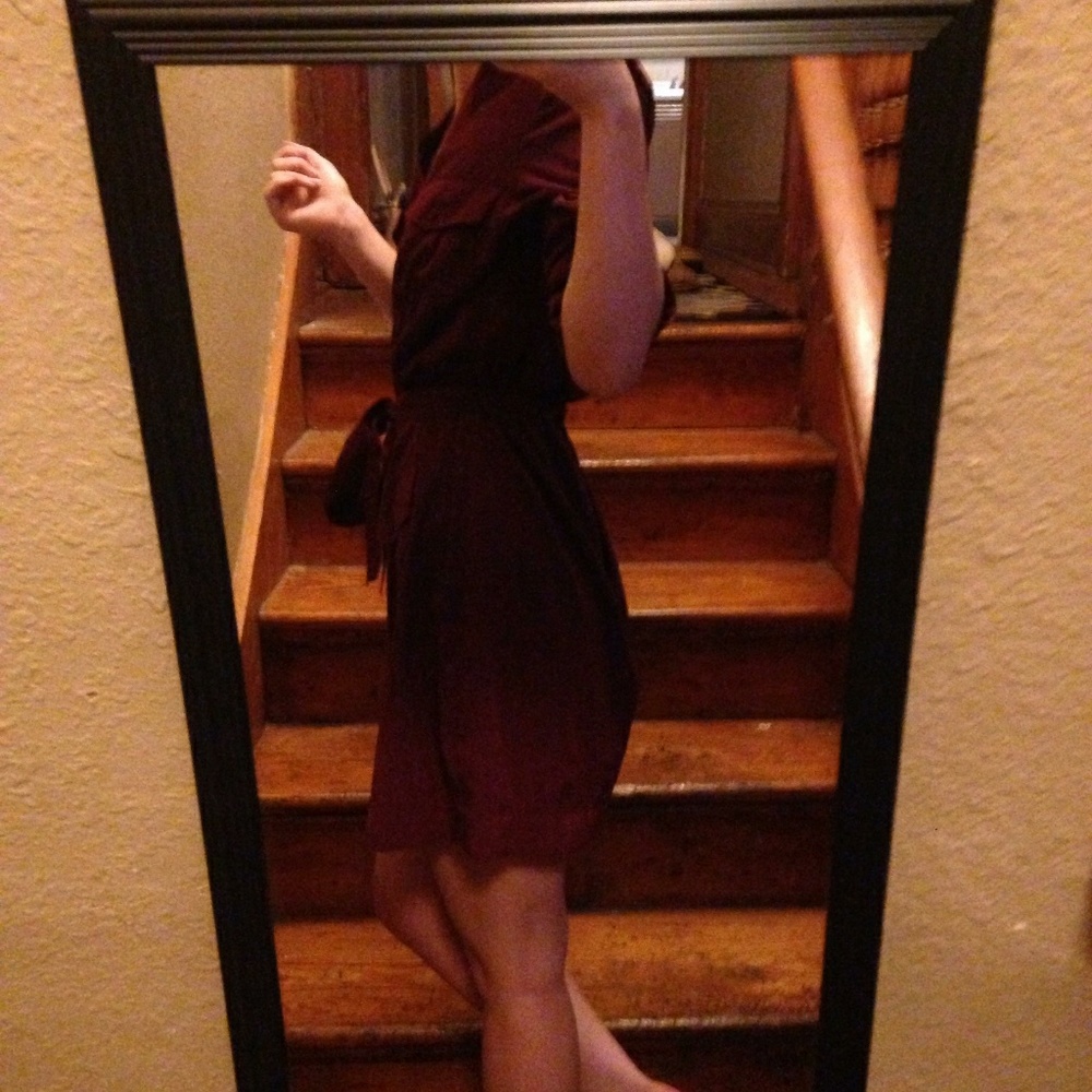 Button down shift dress - Picture 5 of 6